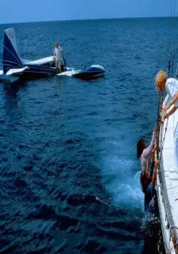 Челюсти 4: Месть (1987) через торрент бесплатно Челюсти 4: Месть (1987) фильм через торрент бесплатно