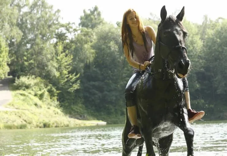 Восточный ветер (2013) через торрент бесплатно Восточный ветер (2013) фильм через торрент бесплатно