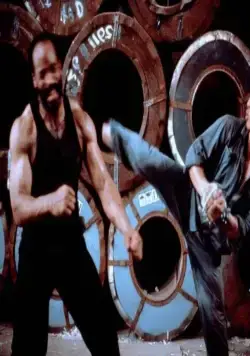 Клетка тигра 2 (1990) через торрент бесплатно Клетка тигра 2 (1990) фильм через торрент бесплатно