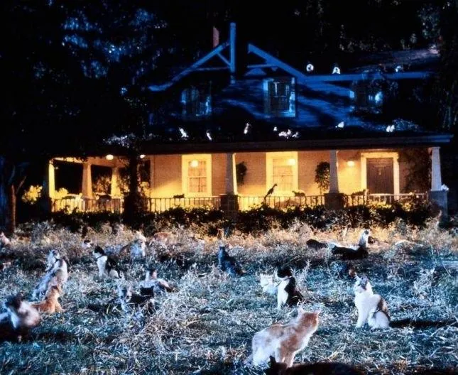 Лунатики (1992) через торрент бесплатно Лунатики (1992) фильм через торрент бесплатно