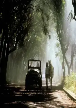 Месть (1989) через торрент бесплатно Месть (1989) фильм через торрент бесплатно