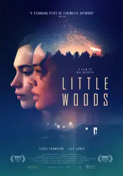 Лесок / Little.Woods (2018) фильм скачать через торрент в хорошем качестве