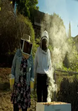 Дикий мёд (2017) через торрент бесплатно Дикий мёд (2017) фильм через торрент бесплатно