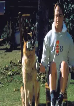 К-911 (1999) через торрент бесплатно К-911 (1999) фильм через торрент бесплатно