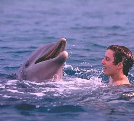 Флиппер (1996) через торрент бесплатно Флиппер (1996) фильм через торрент бесплатно