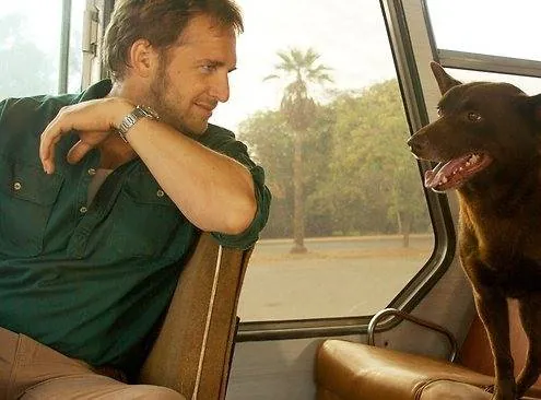 Рыжий пес (2011) в хорошем качестве через торрент Рыжий пес (2011) фильм в хорошем качестве через торрент