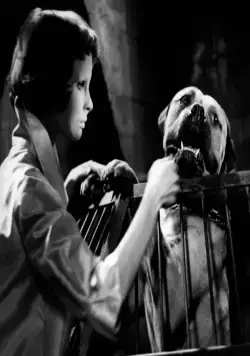 Глаза без лица (1959) в хорошем качестве через торрент Глаза без лица (1959) фильм в хорошем качестве через торрент