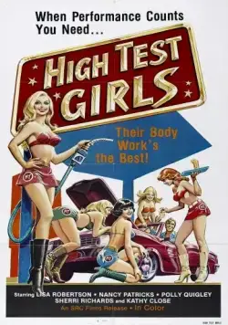 Шесть шведок с бензоколонки / Sechs Schwedinnen von der Tankstelle (1980) фильм скачать через торрент в хорошем качестве