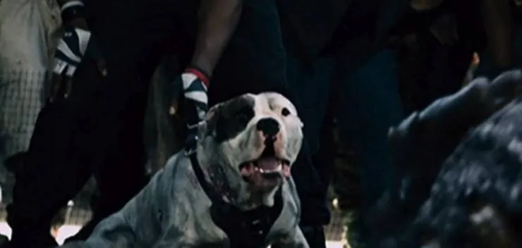 Монстры 2: Тёмный континент (2014) через торрент скачать Монстры 2: Тёмный континент (2014) фильм через торрент скачать