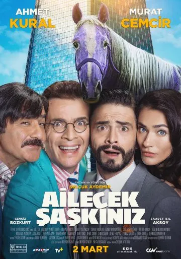 Безумная семейка / Ailecek Saskiniz (2018) фильм скачать через торрент в хорошем качестве