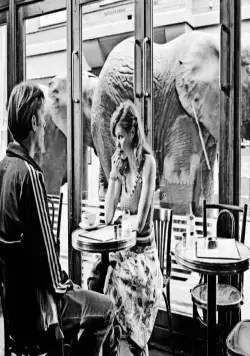 Темная лошадка (2005) через торрент скачать Темная лошадка (2005) фильм через торрент скачать