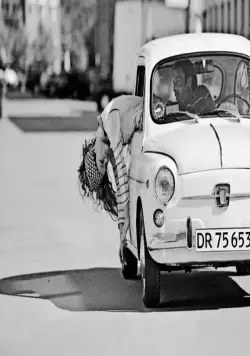 Темная лошадка (2005) в хорошем качестве через торрент Темная лошадка (2005) фильм в хорошем качестве через торрент