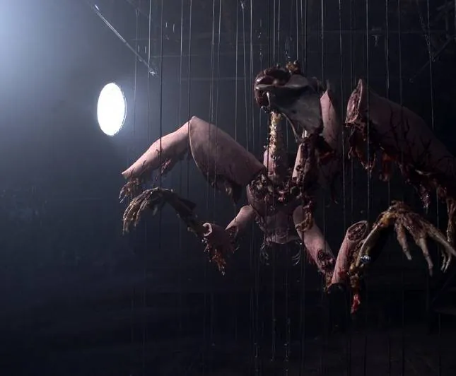 Анаморф (2007) через торрент скачать Анаморф (2007) фильм через торрент скачать