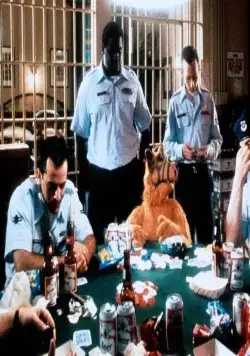 Проект: Альф (1996) в хорошем качестве через торрент Проект: Альф (1996) фильм в хорошем качестве через торрент