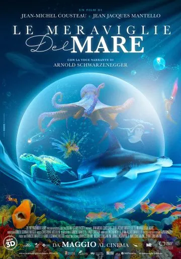 Чудеса моря в 3D / Wonders of the Sea 3D (2017) фильм скачать через торрент в хорошем качестве