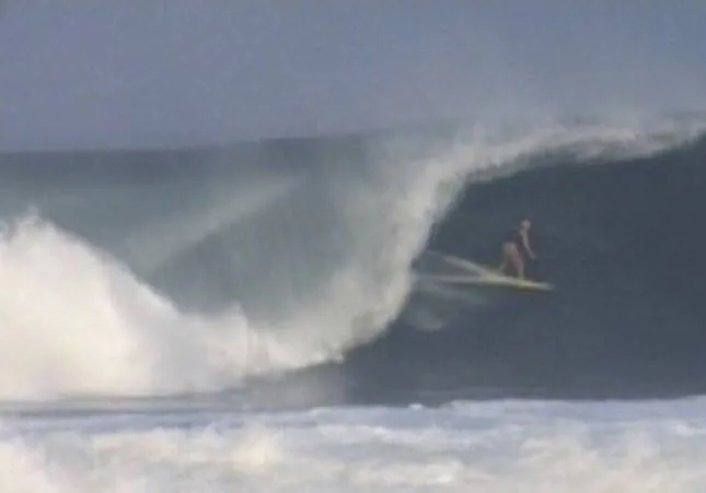 Акулозавр (2010) через торрент бесплатно Акулозавр (2010) фильм через торрент бесплатно