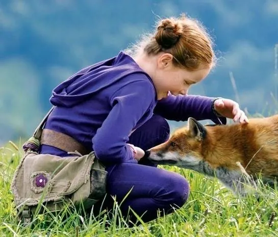 Девочка и лисенок (2007) в хорошем качестве через торрент Девочка и лисенок (2007) фильм в хорошем качестве через торрент