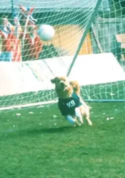 Король воздуха: Лига чемпионов (2000) через торрент скачать Король воздуха: Лига чемпионов (2000) фильм через торрент скачать