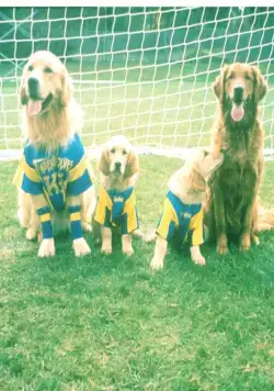 Король воздуха: Лига чемпионов (2000) через торрент бесплатно Король воздуха: Лига чемпионов (2000) фильм через торрент бесплатно