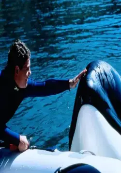 Освободите Вилли 3: Спасение (1997) через торрент бесплатно Освободите Вилли 3: Спасение (1997) фильм через торрент бесплатно