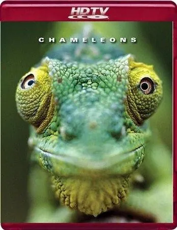 Хамелеоны мира / Chameleons of the world (2011) фильм скачать через торрент в хорошем качестве