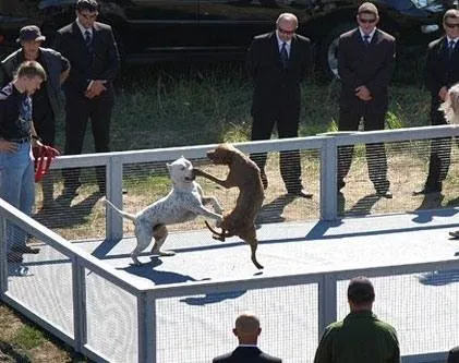 Поводырь (2007) через торрент скачать Поводырь (2007) фильм через торрент скачать