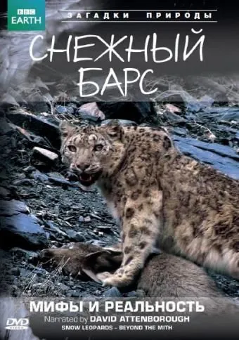 BBC: Снежный барс: Мифы и реальности / Natural World: Snow Leopard - Beyond the Myth (2007) фильм скачать через торрент в хорошем качестве