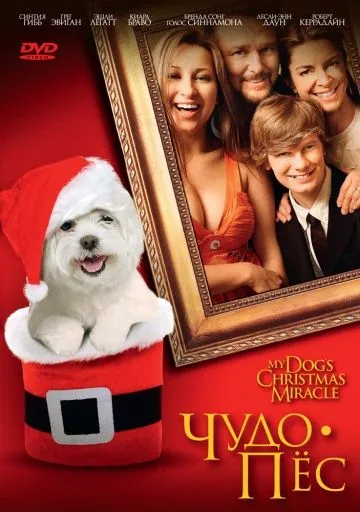 Чудо-пес / My Dog's Christmas Miracle (2011) фильм скачать через торрент в хорошем качестве