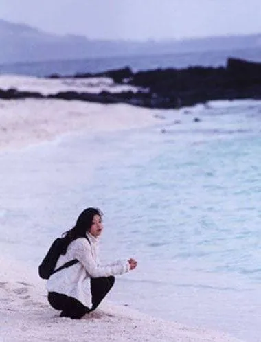 Домик у моря (2000) через торрент скачать Домик у моря (2000) фильм через торрент скачать