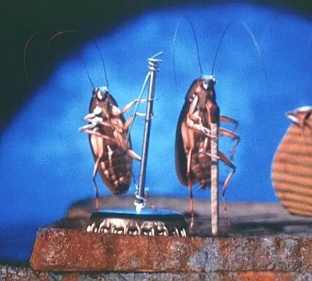 Квартирка Джо (1996) в хорошем качестве через торрент Квартирка Джо (1996) фильм в хорошем качестве через торрент