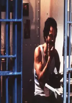 Пинеро (2001) через торрент бесплатно Пинеро (2001) фильм через торрент бесплатно