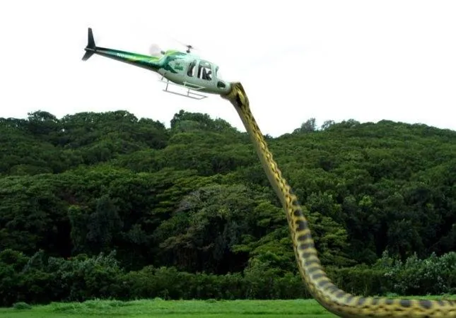 Пираньяконда (2012) в хорошем качестве через торрент Пираньяконда (2012) фильм в хорошем качестве через торрент