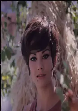 Операция «Святой Януарий» (1966) в хорошем качестве через торрент Операция «Святой Януарий» (1966) фильм в хорошем качестве через торрент