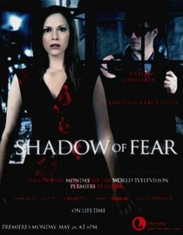 Опасные влечения / Shadow of Fear (2012) фильм скачать через торрент в хорошем качестве