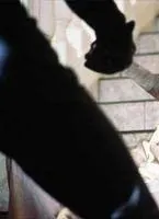 Бассейн (2001) в хорошем качестве через торрент Бассейн (2001) фильм в хорошем качестве через торрент