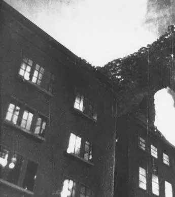 Годзилла (1954) в хорошем качестве через торрент Годзилла (1954) фильм в хорошем качестве через торрент