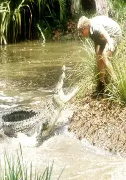 Охотник на крокодилов: Схватка (2002) через торрент скачать Охотник на крокодилов: Схватка (2002) фильм через торрент скачать