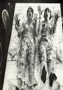 Маргаритки (1966) через торрент бесплатно Маргаритки (1966) фильм через торрент бесплатно