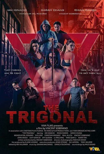 Тригонал: Борьба за справедливость / The Trigonal: Fight for Justice (2018) фильм скачать через торрент в хорошем качестве