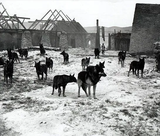 Маркета Лазарова (1966) в хорошем качестве через торрент Маркета Лазарова (1966) фильм в хорошем качестве через торрент
