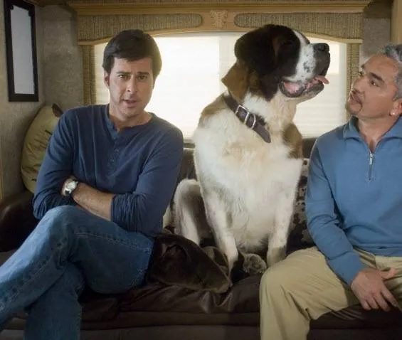 Бетховен: Большой бросок (2008) через торрент скачать Бетховен: Большой бросок (2008) фильм через торрент скачать