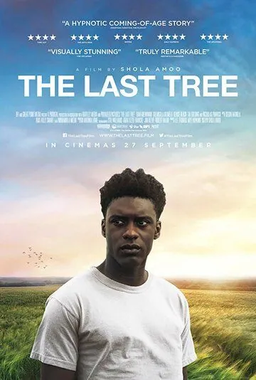 Последнее дерево / The Last Tree (2019) фильм скачать через торрент в хорошем качестве