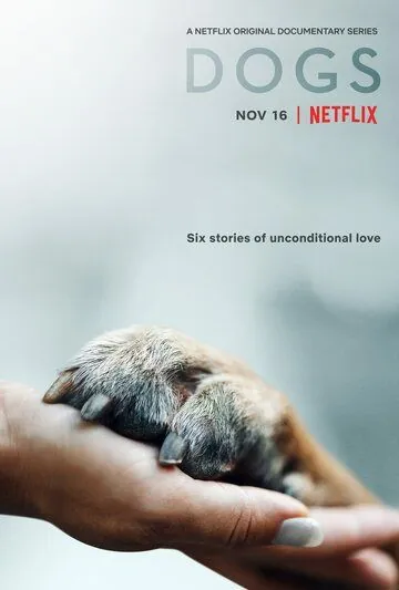 Собаки / Dogs (2018) сериал скачать через торрент в хорошем качестве