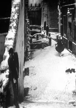 Белые ночи (1957) через торрент бесплатно Белые ночи (1957) фильм через торрент бесплатно