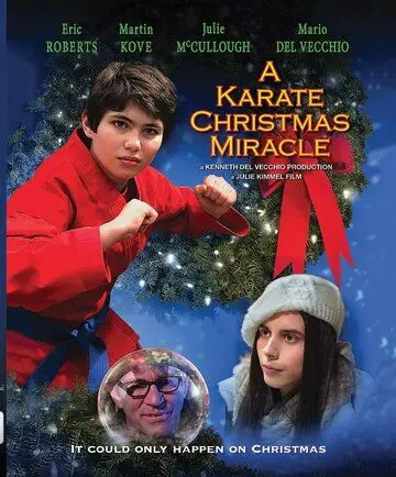 Рождественское чудо в стиле карате / A Karate Christmas Miracle (2019) фильм скачать через торрент в хорошем качестве