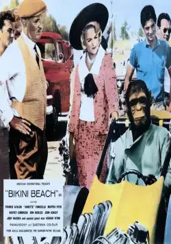 Пляж бикини (1964) через торрент бесплатно Пляж бикини (1964) фильм через торрент бесплатно