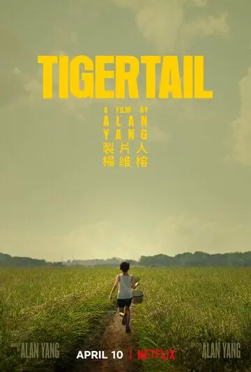 Хвост тигра / Tigertail (2020) фильм скачать через торрент в хорошем качестве