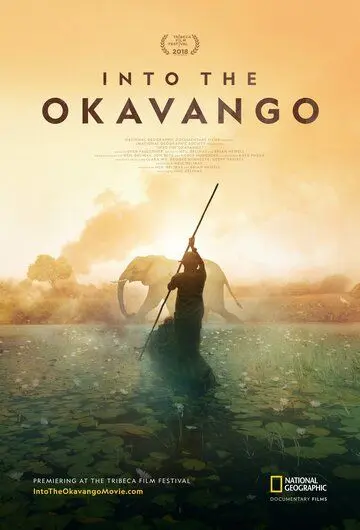 Далеко в Окаванго / Into the Okavango (2018) фильм скачать через торрент в хорошем качестве