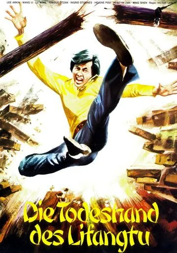 Каратисты в Стамбуле / Karateciler Istanbul'da (1974) фильм скачать через торрент в хорошем качестве