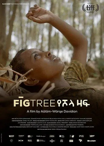 Инжир / Fig Tree (2018) фильм скачать через торрент в хорошем качестве